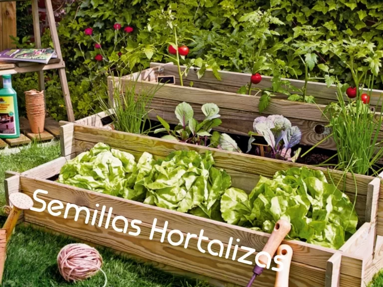 D NQ NP 851470 MLA78477824195 082024 F 768x575